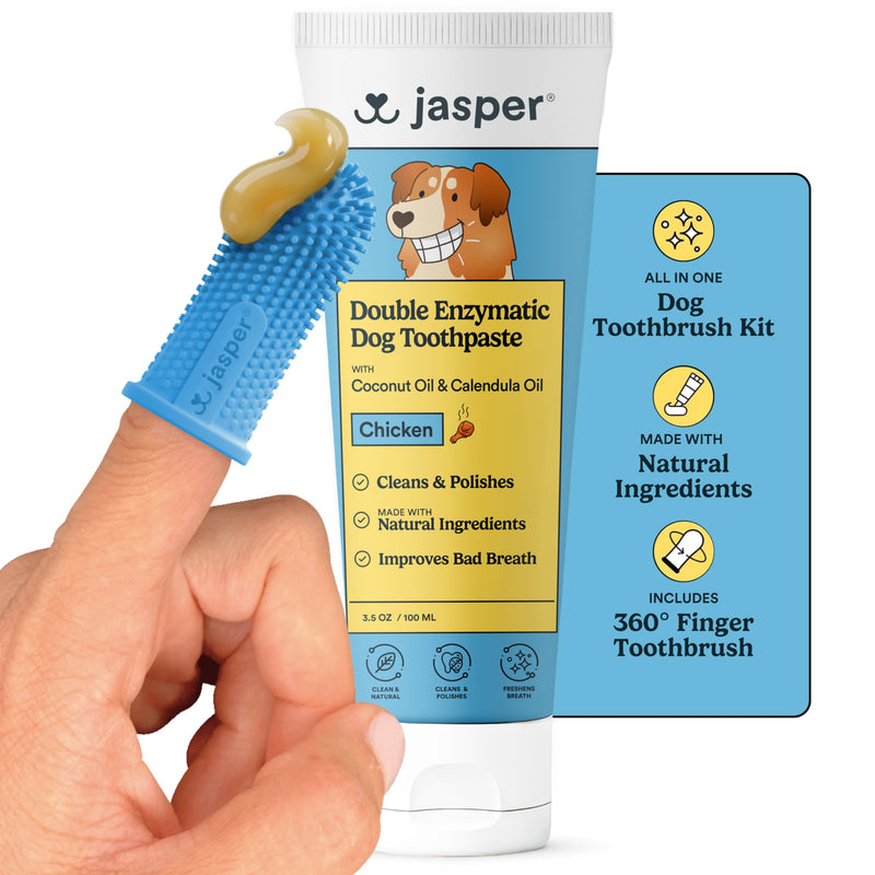 Jasper Dog Tooth Brushing Kit and Dog Toothpaste Kit 360 Dog Toothbrush Enzymatic Plaque Remover Improves Bad Breath Natural Pet Toothpaste Dog Toothbrush and Toothpaste 2 oz Chicken Flavor