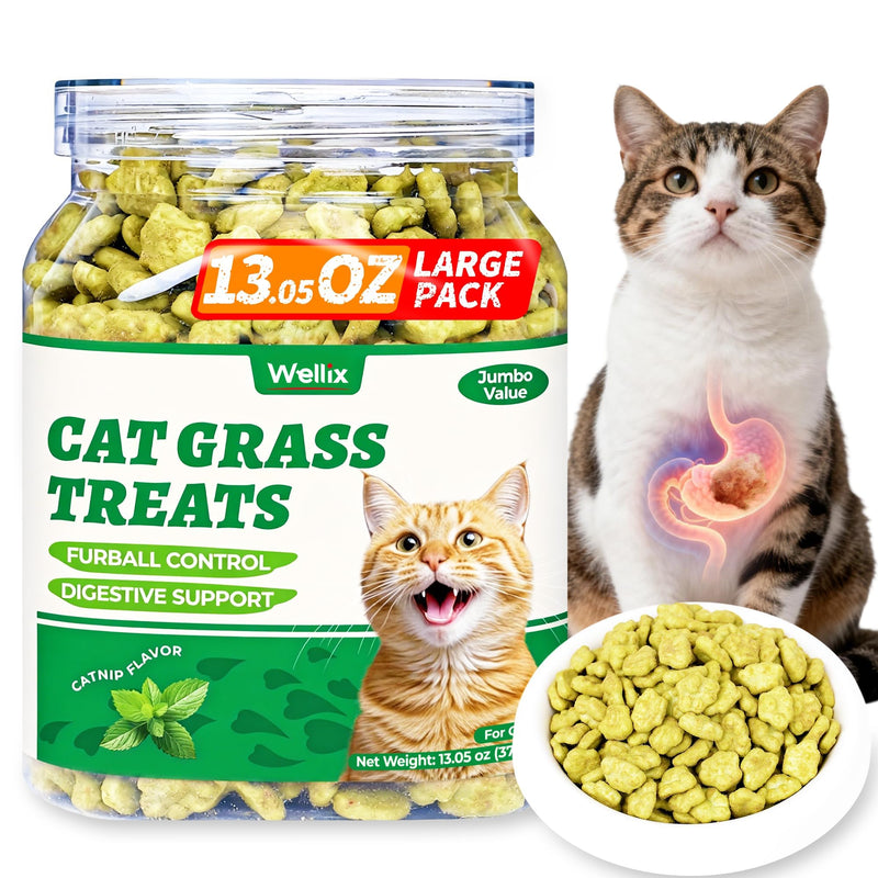 Wellix 13.05oz Cat Grass Treats with Catnip & Salmon - Healthy Cat Treats for Indoor Cats - Hairball Control & Digestive Support - Kittens Training Snacks for Teeth Cleaning