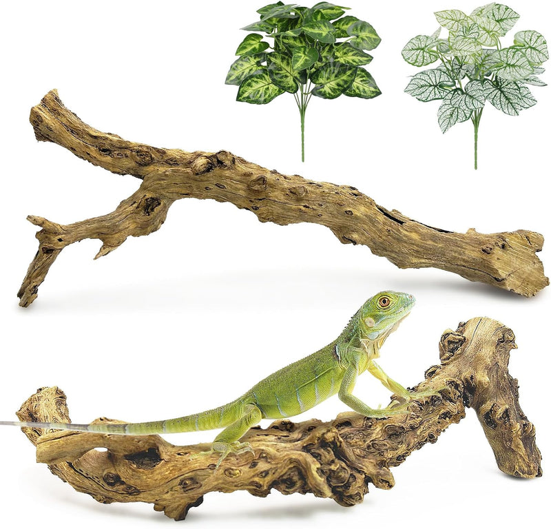 Reptile Branch Decor, Snake Climbing Wood Branches, Terrarium Logs