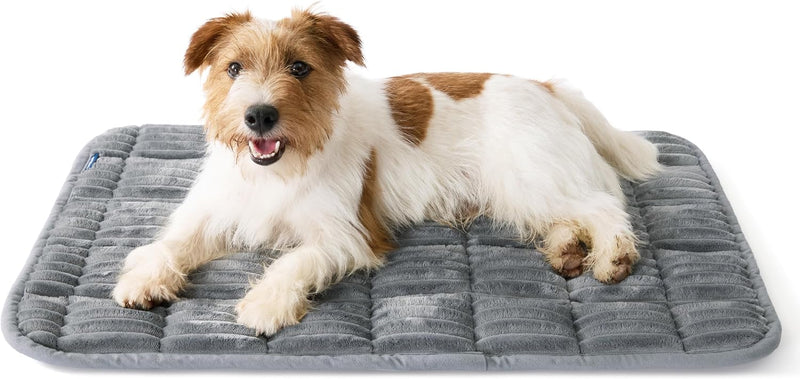 Bedsure ComfyFleece® Washable Dog Crate Pad,Soft Thin Medium Pet Mat,30