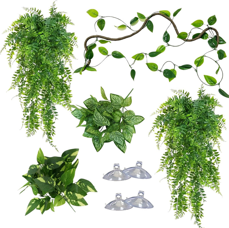 Reptile Plants for Terrarium, Bearded Dragon Tank Accessories