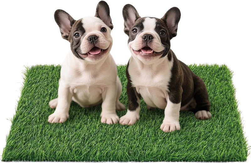 Replacement Artificial Grass Pee Pads for Dogs Potty Training to Pee & Poop