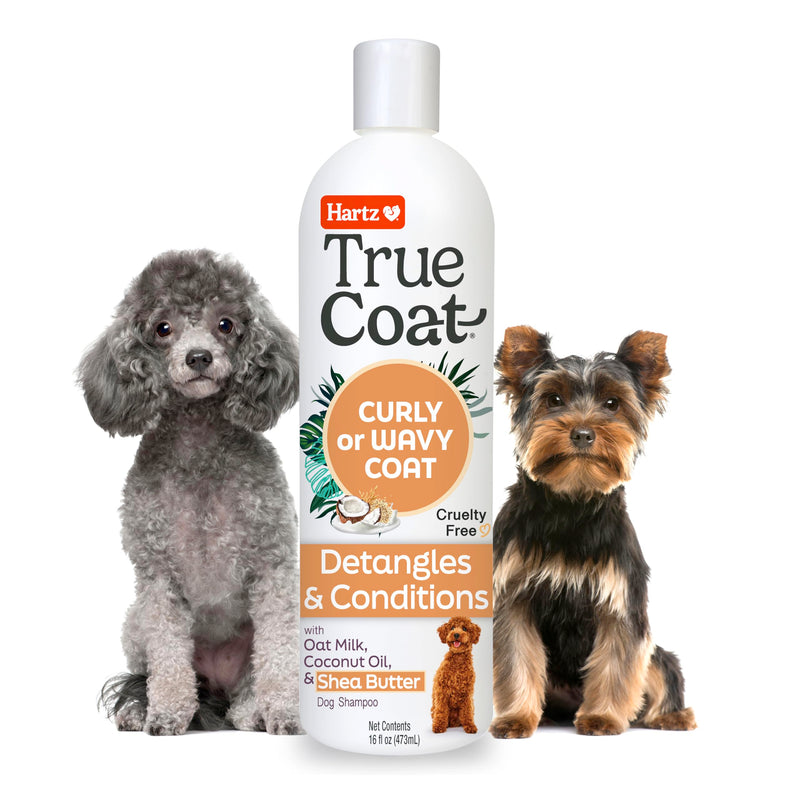 True Coat Curly or Wavy Dog Shampoo, 5 in 1 Detangles & Conditions with Oat Milk, Coconut Oil & Shea Butter, 16 oz