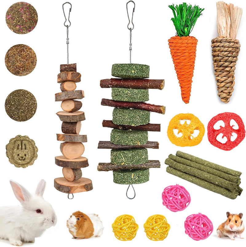 Grddaef 20 PCS Bunny Chew Toys for Teeth, Natural Rabbit Toys Apple Wood Grass Timothy Sticks Chew and Treat for Guinea