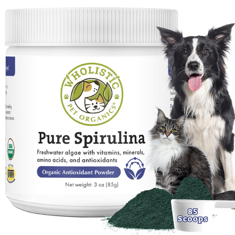 Wholistic Pet Organics Spirulina Powder for Dogs and Cats - Antioxidant Support for Dogs and Cats - Immune Support Supplement, Promotes Overall Wellness - Human-Grade Superfood for Pets - 85 Scoops