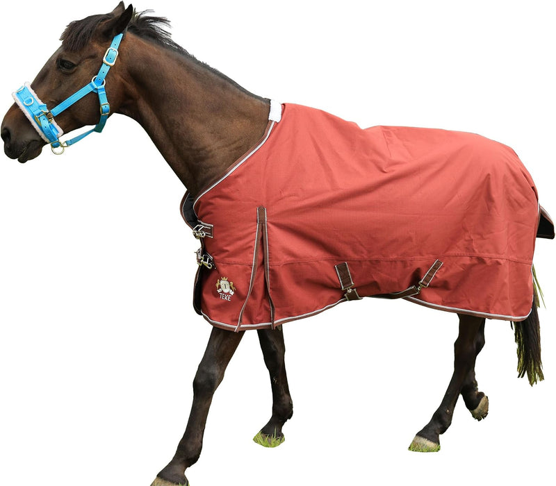 T TEKE Deluxe 1200D Horse Turnout Sheet, 0g No Fill
