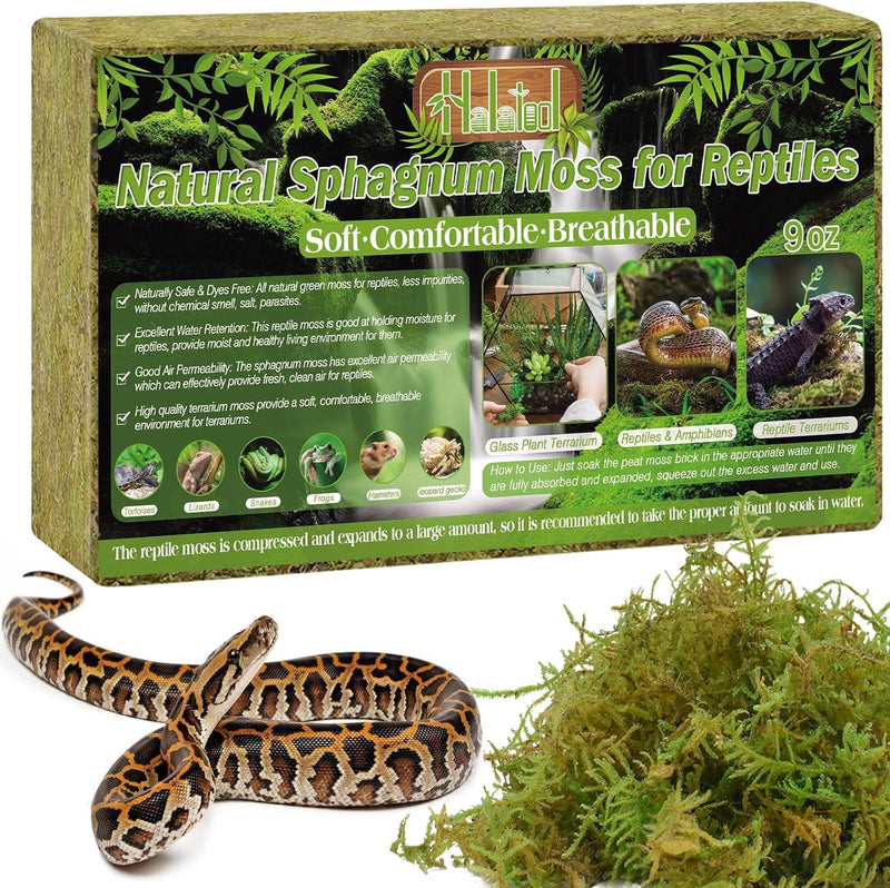 Halatool 9 OZ Sphagnum Moss for Reptiles - Green Terrarium Moss