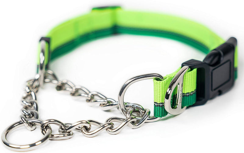 Mighty Paw Martingale Dog Collar 2.0 | Trainer Approved Limited Slip Collar with Stainless Steel Chain & Heavy Duty Buck