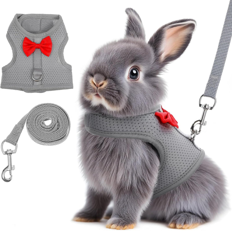 Rabbit Harness and Leash Set,Bunny Leash for Walking Escape Proof,Bunny Clothes with Cute Bow Mesh Breathable Adjustable