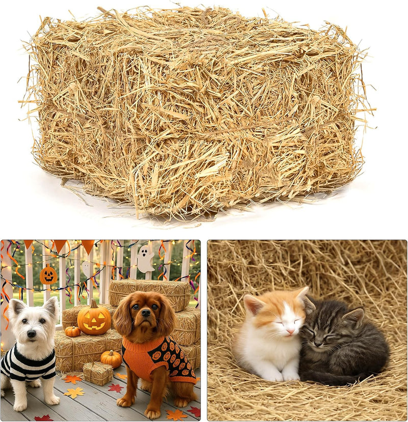 Hay Bales for Decoration, 7.9 x 7.9 x 7.5in, 1 LB Natural Wheat Straw