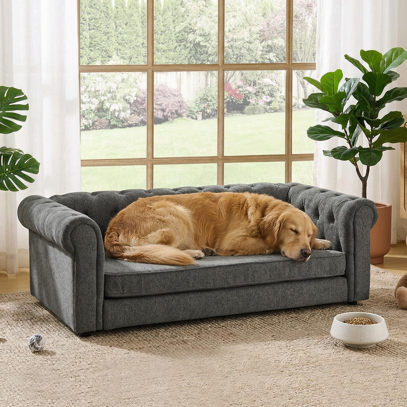 Elevated XL Large Dog Sofa with Backrest and Armrests, 55