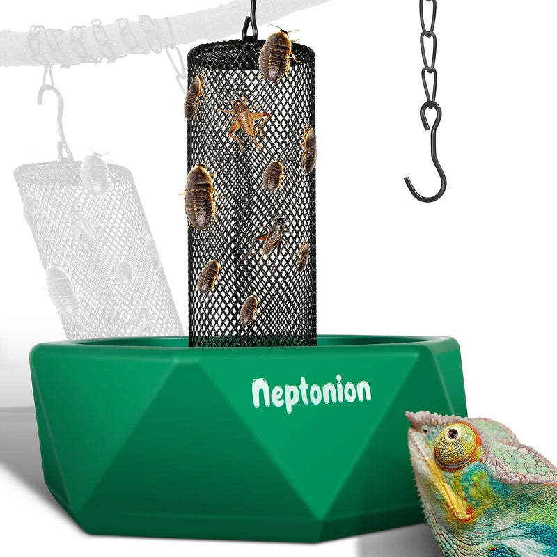 Hookable Chameleon Feeding Bowl, Professional Live Worm Organizer with Column for Prey to Climb and Move, Suitable for L