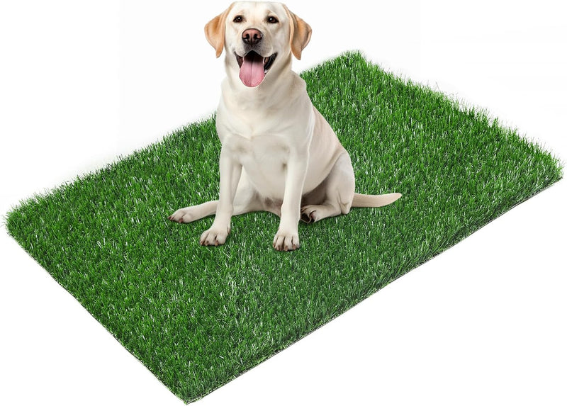 LOOBANI 33.2in x 21in Replacement Artificial Grass for Dogs Potty Training