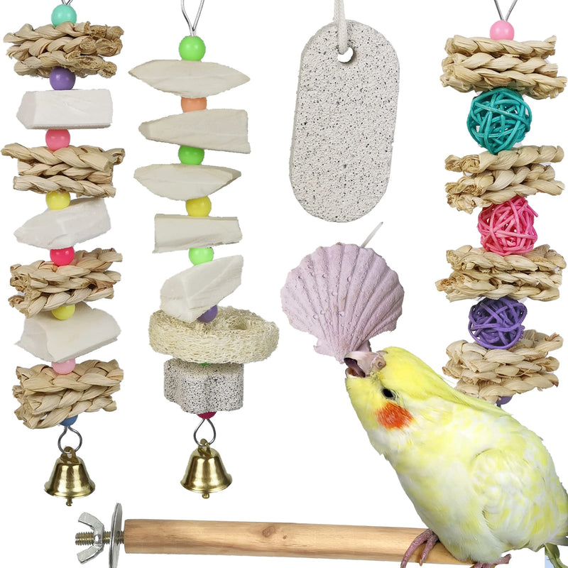 Parrot Chewing Toys (6 pcs) Natural Cuttlebone Bird Beak Trimmer Grinding Stone Lava Block Calcium Stone Bird Perch Cage Toys for Small and Medium Parakeets, Cockatiels, Conures, Budgies, Lovebirds