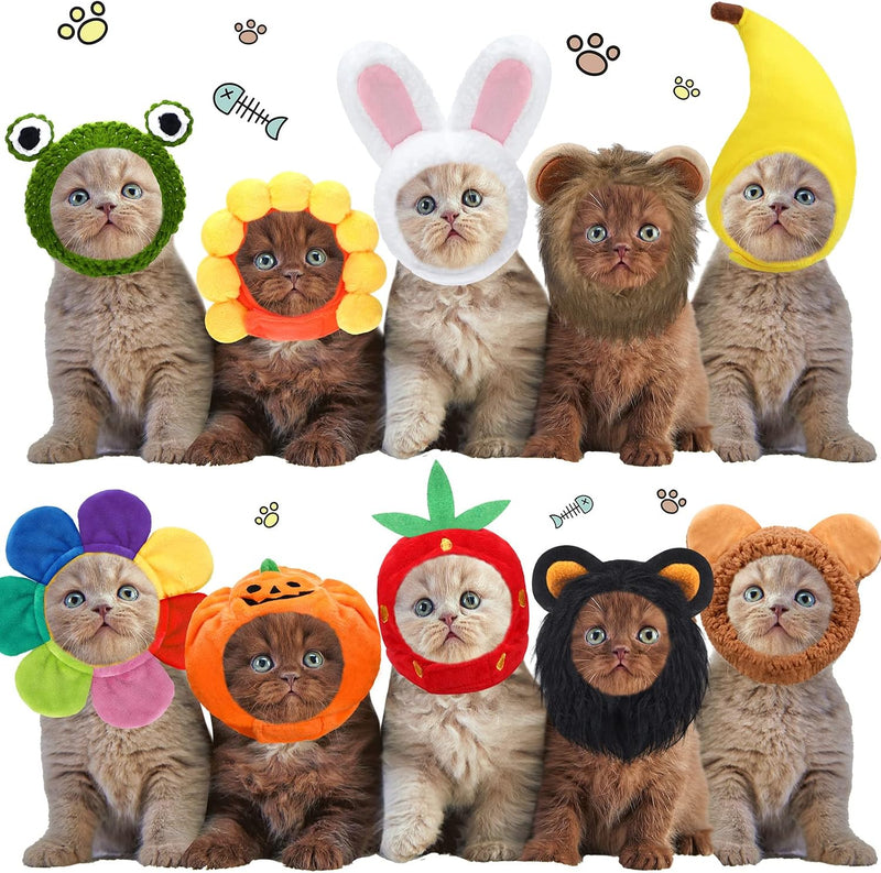 Reginary 10 Pcs Cat Hat Adjustable Animal Fruit Pet Headwear