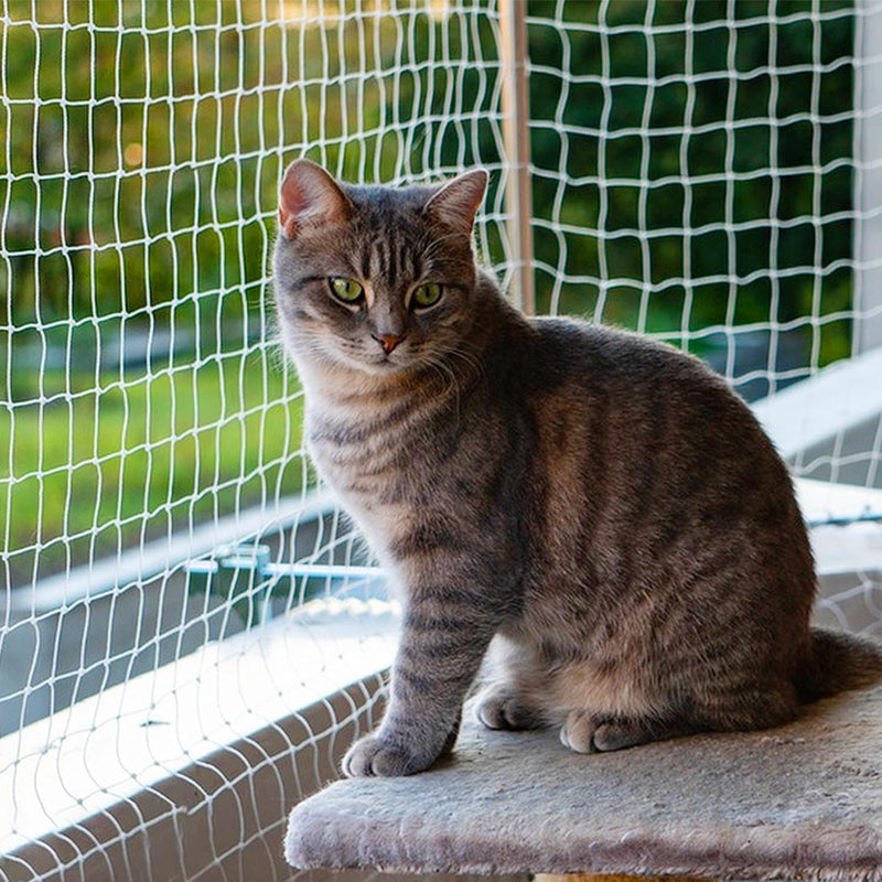 Piowet Cat Balcony Net Cat Netting Balcony Rail Net Cat PET Balcony Anti Fall Netting Cat Fence Nets Transparent Nylon Pet Mesh Fence Anti Fall Netting for Balcony Window Stairs (10 * 33ft, White)