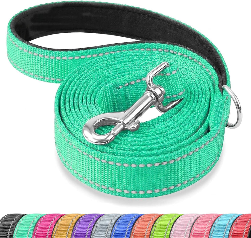Reflective Dog Leash with Padded Handle for Medium Large Dogs