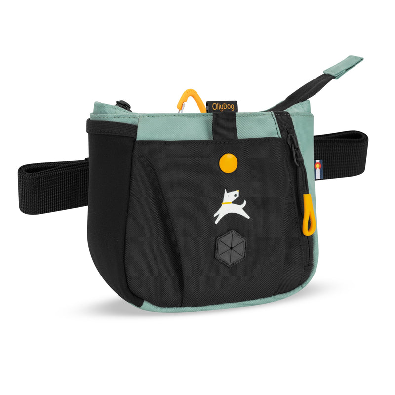 OllyDog Backcountry Day Bag | Dog Training Treat Pouch | Eco-Friendly Recycled Fabric Fanny Pack with Zipper Closure, Built-in Poop Bag Dispenser & Adjustable Waist Belt (Surf)