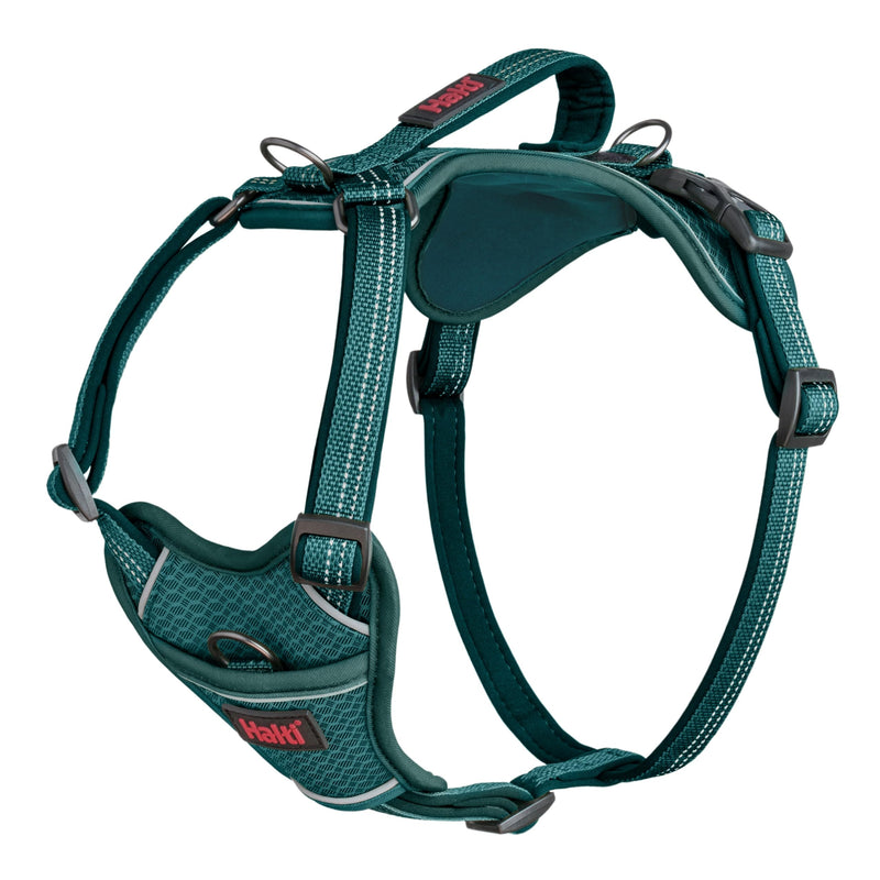 Halti Anatomy Dog Harness with Handle - Padded, Adjustable & Reflective No Pull Dog Harness, 3 Leash Attachment Points Including Front Clip, Suitable for Large Dogs (Size L, Teal)
