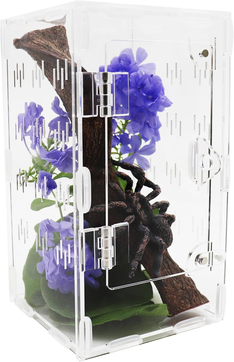 Jumping Spider Enclosure, Spider Terrarium, Acrylic Enclosure Kit, Small Terrarium, Insect Habitat for Spiders, Praying