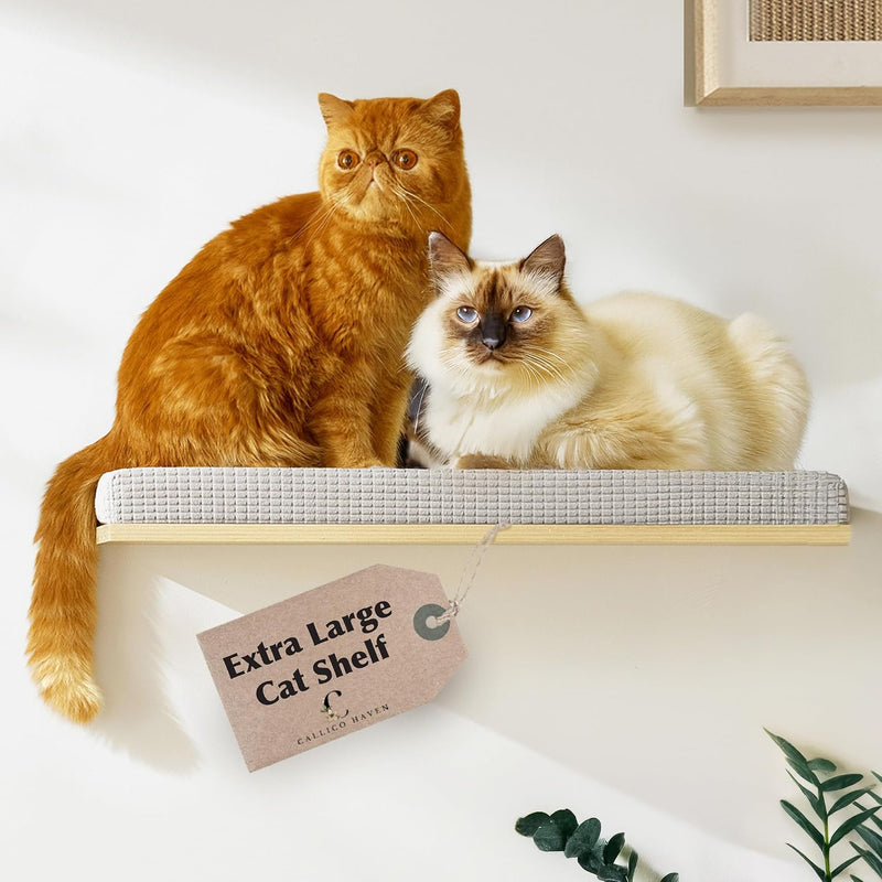 Extra Large 23.6”x12.6” CALLICO HAVEN- Stylish Cat Wall Shelves with Cushion, Modern Wall-Mounted Cat Tree Furniture, Wi