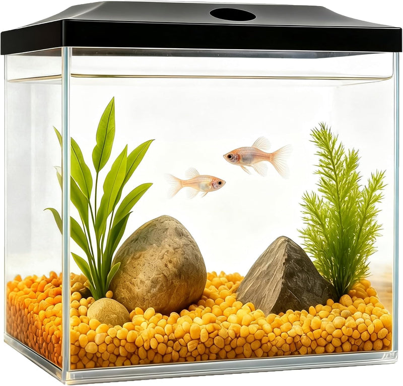 0.8-Gallon Cube Small Fish Tank, Shatterproof Plastic Fish Tank with LED Lighting, Temporary Fish Bowl for Fry, Isolatio