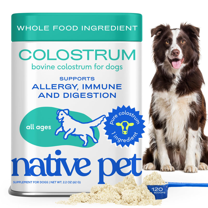 Native Pet Colostrum for Dogs - Bovine Colostrum Powder - Dog Allergy Relief, Itchy Skin Relief, Immune Support & Gut Health - 100% Single-Ingredient Supplement with Bioactive Nutrients - 120 Scoops