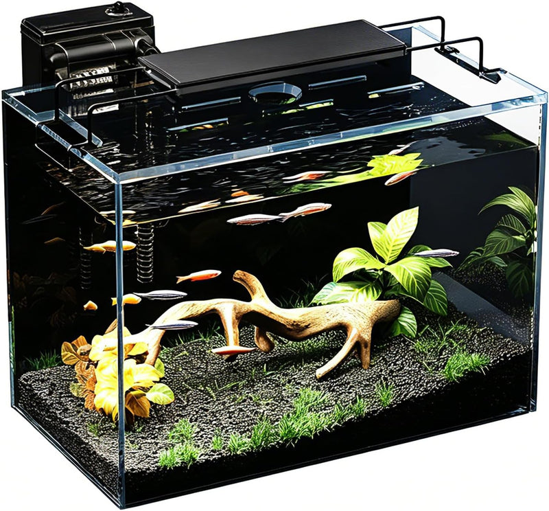 5 Gallon Fish Tank Kit with Filter Light with Timer, Lid Rimless Glass