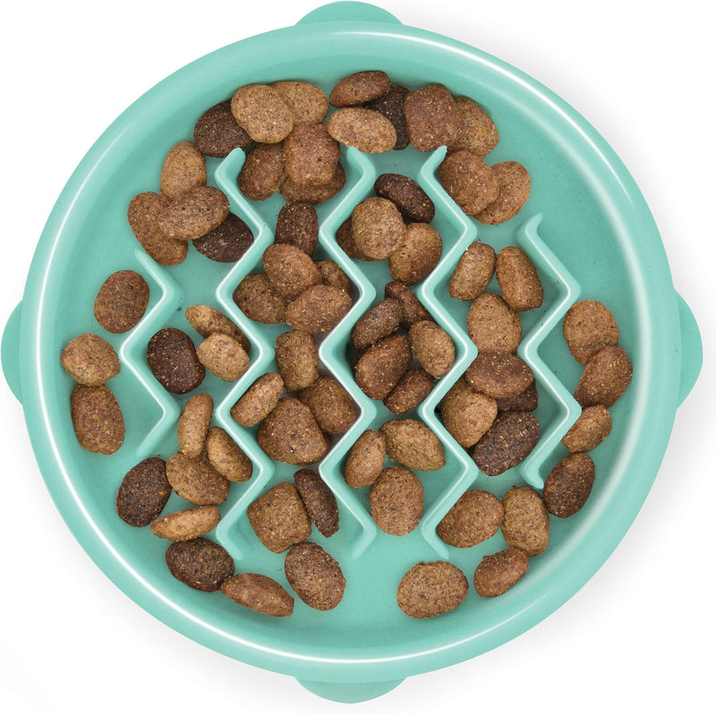 Outward Hound Fun Feeder Slo Bowl Dog Slow Feeder, Wave, Mint, 5.8