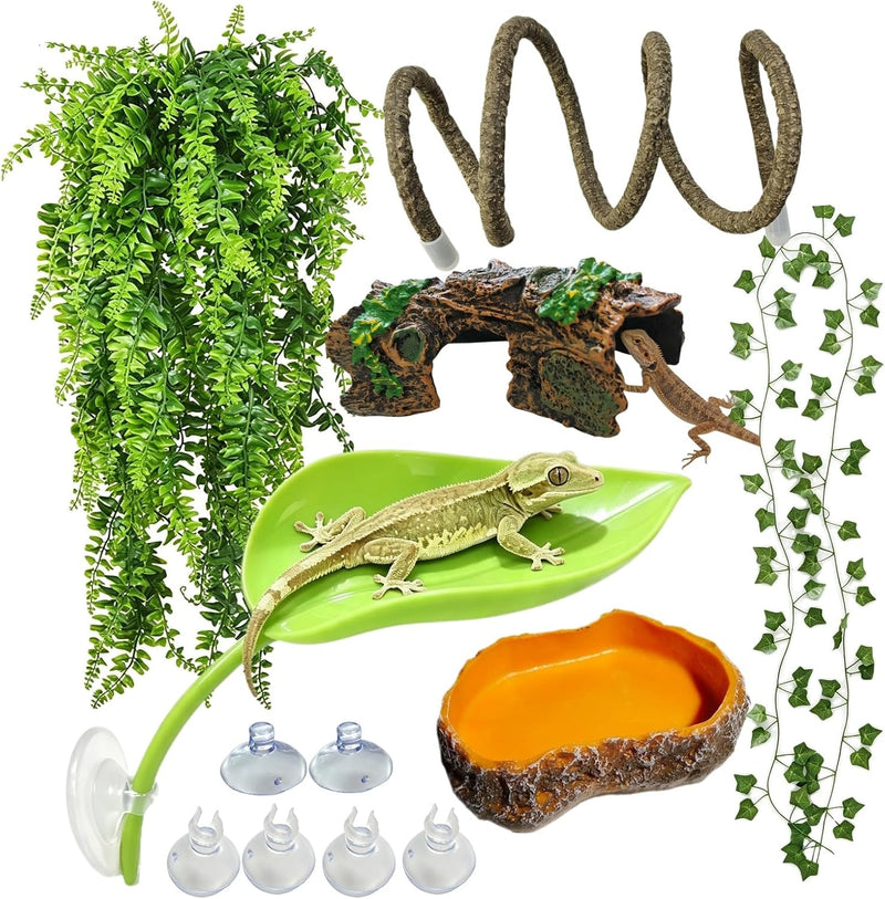 Bearded Dragon Tank Accessories, Terrarium Decor, Ball Python