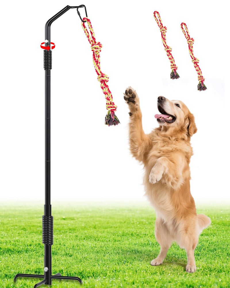 360° Rotation Tether Outdoor Dog Rope Toy, Exercise Tug Of War Dog Toy in Yard/Park/Lawn, Dog Training 3 Rope Toys, 2 Strengthen Spring Poles, Self Play and Interactive Toy for Large Medium Small Dog