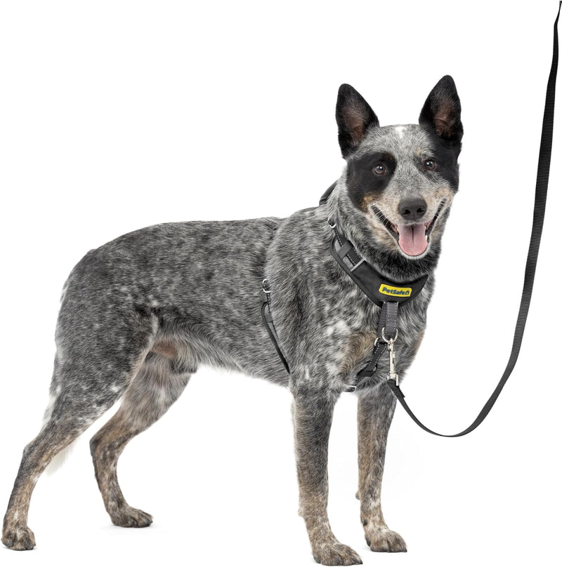 PetSafe Easy Walk Comfort No Pull Dog Harness