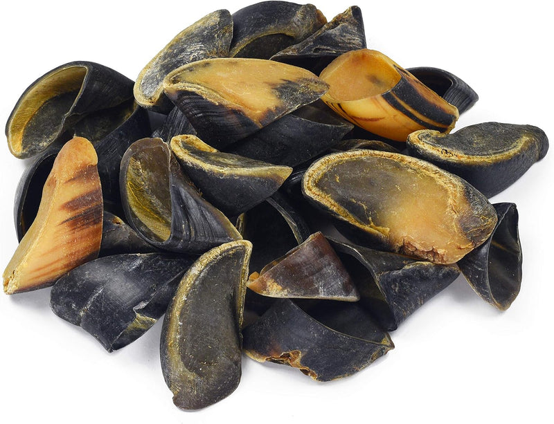 Full-Size Cow Hooves for Dogs (25 Pack) | All-Natural Long Lasting Dog Chews | Made from Grass Fed Cattle | Tasty Treat