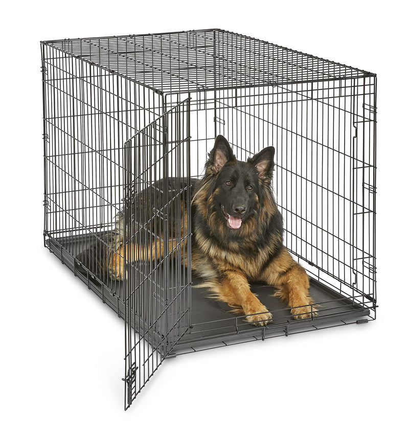 Midwest Homes for Pets 48-Inch New World Crate for Extra-Large Breeds, 90-110 lbs, Single Door Folding Dog Crate, Leak-Proof Tray & Secure Latch, Portable, Durable & Easy to Assemble