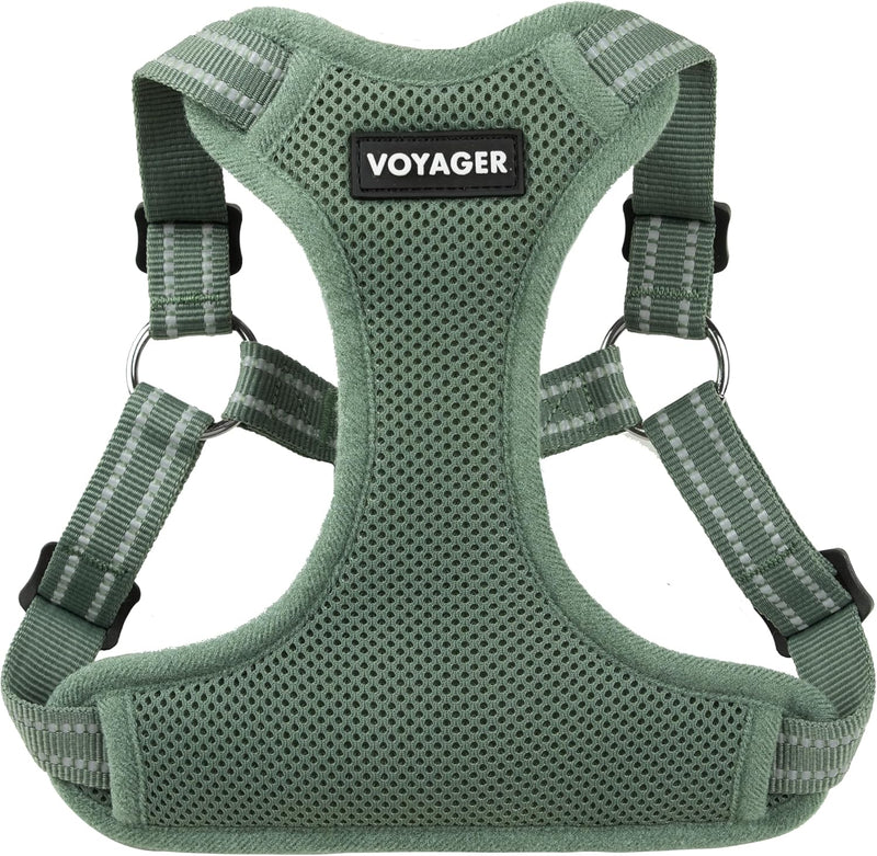 Voyager Step-in Flex Adjustable Dog Harness - Moss Green, Small