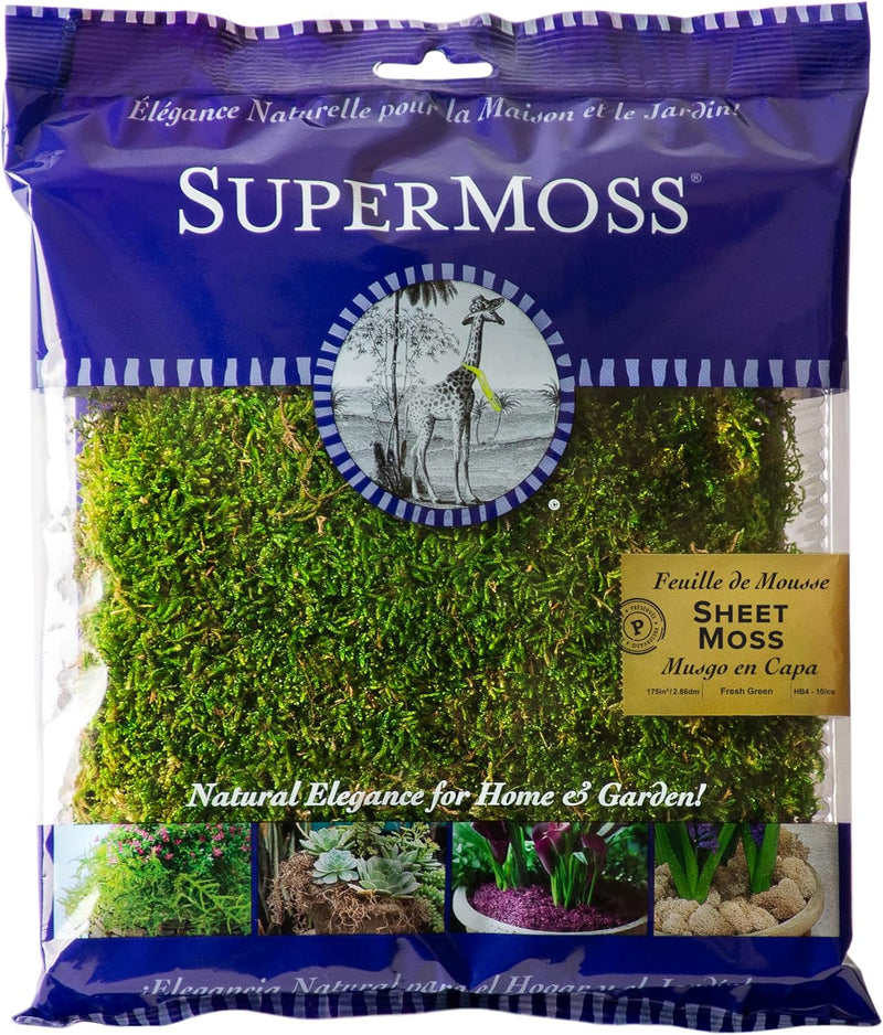 SuperMoss (21511) Sheet Moss, 175 cu in, Preserved