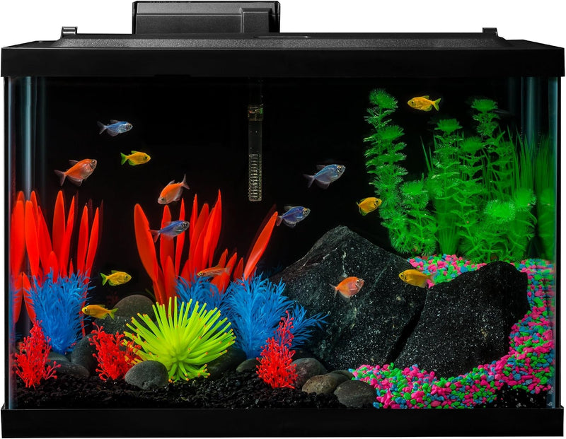 GloFish 20 Gallon Complete Fish Tank Kit