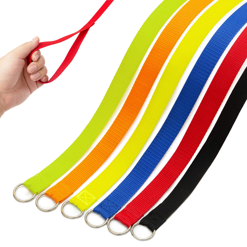 Slip Lead Dog Leash, 6 pcs Short Pet Leashes Slip Leads for Dogs Cats Grooming Shelter Rescues Walking Training,etc., 6 FT Strong Pulling Dog Leash with O-Ring