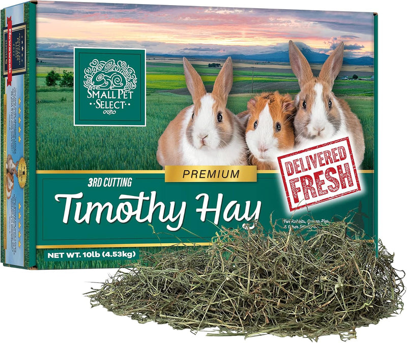 Small Pet Select 3rd Cutting Super Soft Timothy Hay, Picky Eaters, 10 lb