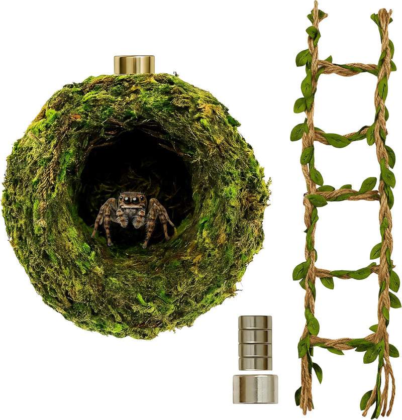Jumping Spider Accessories - Moss Hideout with Hemp Rope Bridge