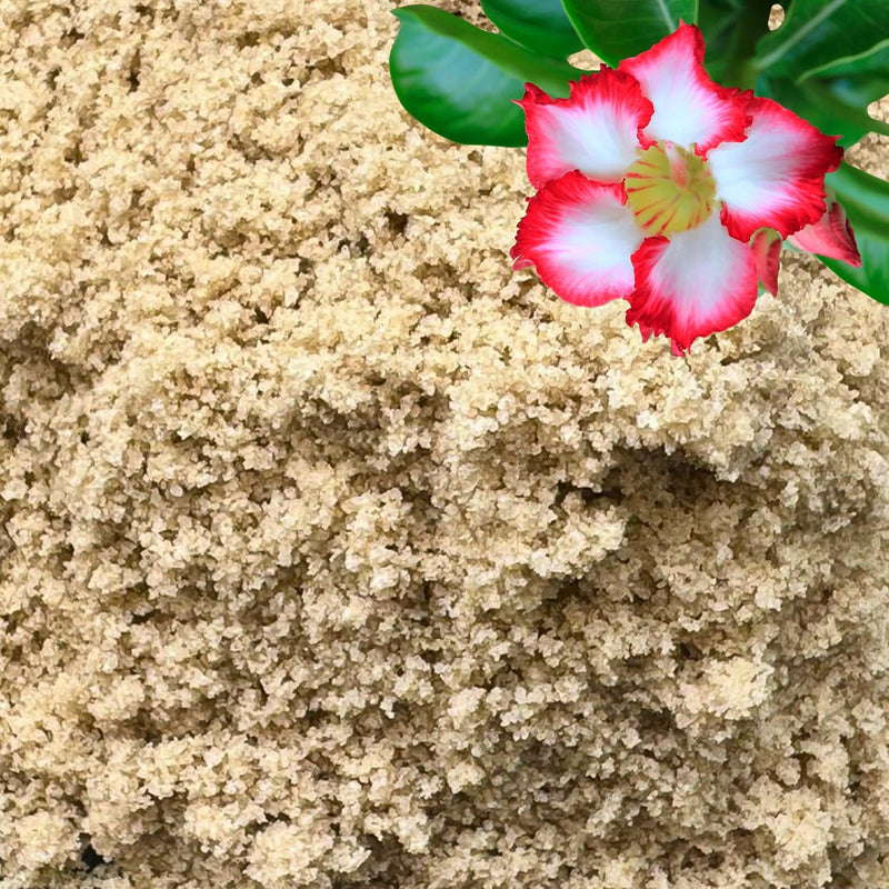 GARDENWISE Fine Sand for Plants – Horticultural Sand for Succulents, Cactus, Potting Mixes, Terrariums & Decorative Indo