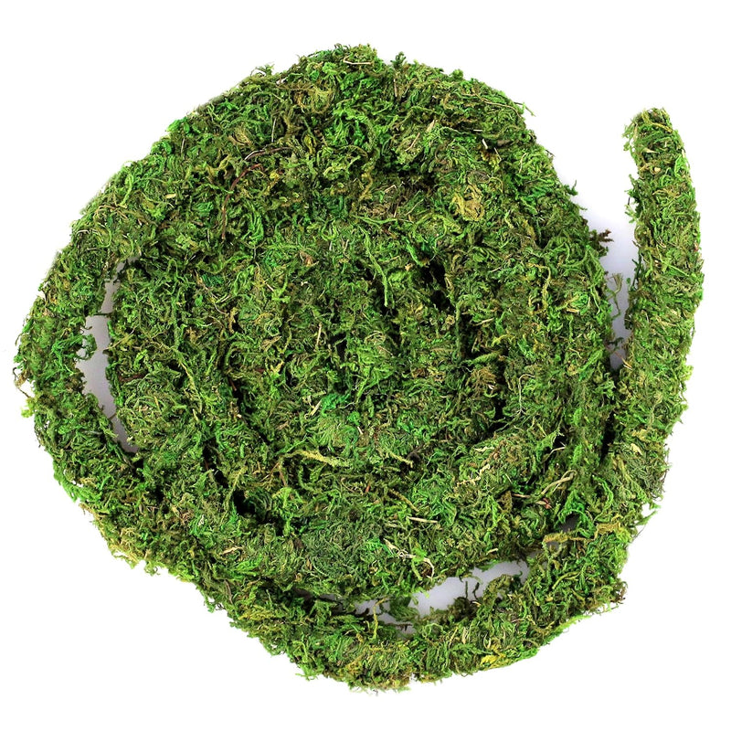 Galápagos (05266) MossVine, Real Moss Vine, 12FT, Green