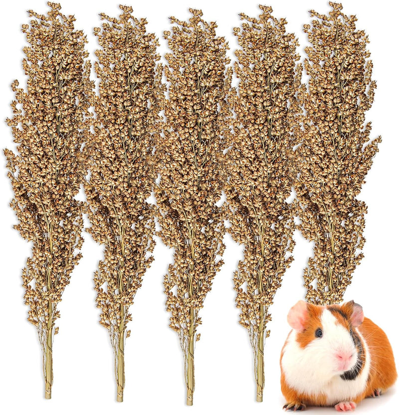 Sukh 5 Pcs Hamster Sprays Natural - Sun Dried Red Sorghum Forage Stalks