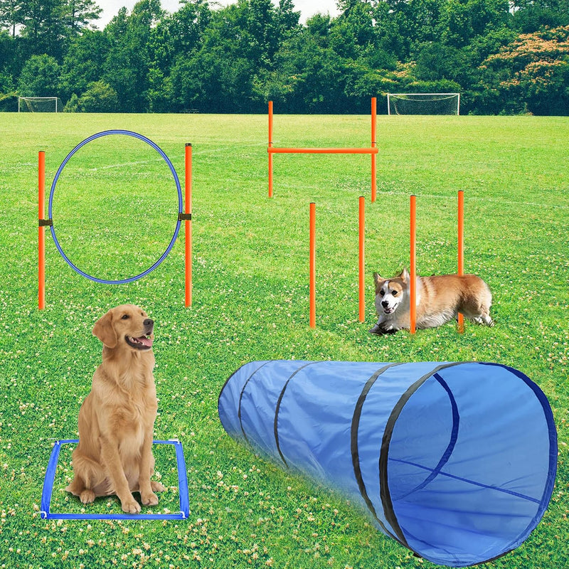 Dog Agility Training Equipment, Obstacle Agility Training Starter Kit for Doggie, Including Tunnel, 13 Weave Poles, Adju