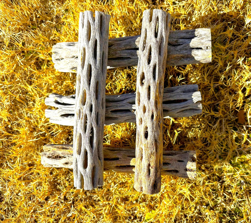 Natural Cholla Wood, Choya Air Plant, Untreated Beautiful Driftwood, Aquarium Decor, Betta Fish, Plecos, Shrimp, Minnows