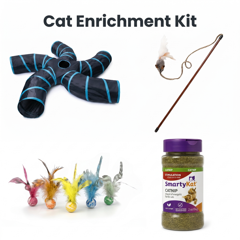 Cat Enrichment Kit bundle