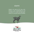 Manna Pro Cut Heal Hoof Heal, 16-Ounces