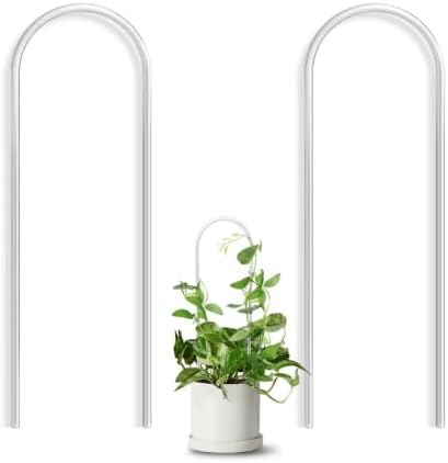 sdnaie Architect Order Tree Plant Trellis
