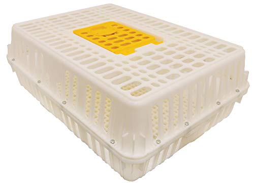 Stromberg's Poultry Transport Crate, Secure Chicken Carrier for Safe Bird Travel and Storage, Ventilated Outdoor Plastic Cage with Hinged Loading Door for 4 to 6 Backyard Chickens or 2-4 Pheasants