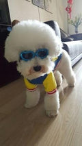 Outdoor Dog Sunglasses Anti-UV Eye Protection Goggles Waterproof Windproof Anti-Fog for Small Pet Puppy Cat